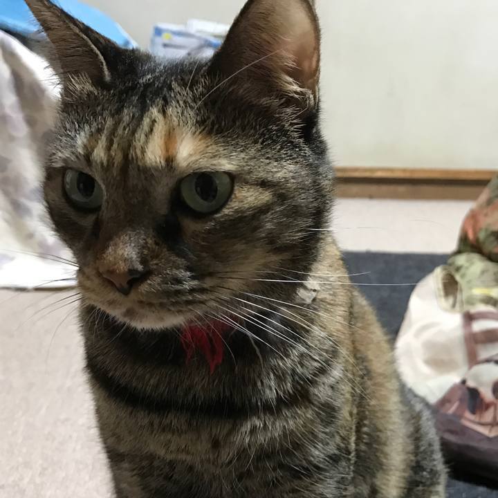 D994e75a 5410 40e4 984e 9ff1f1bc0010