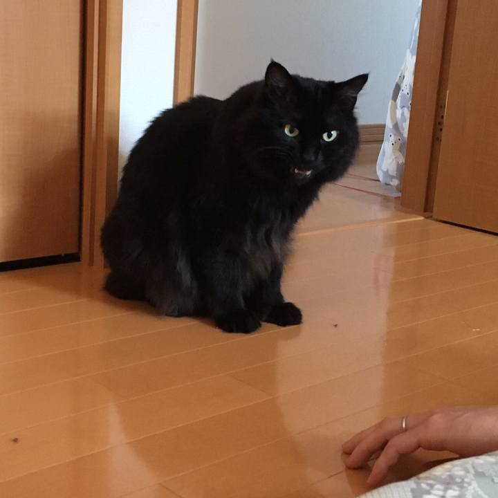 D995c1d0 b865 478f a3ce fd48c83f5da6