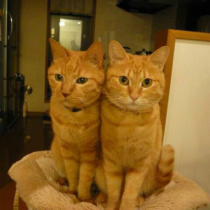 D99631aa a252 49b8 a598 96aa520fb1ed