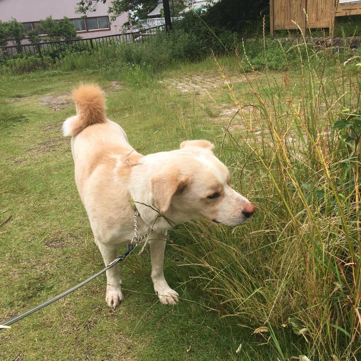 D996695e 683d 4248 acc1 90d0914be71f