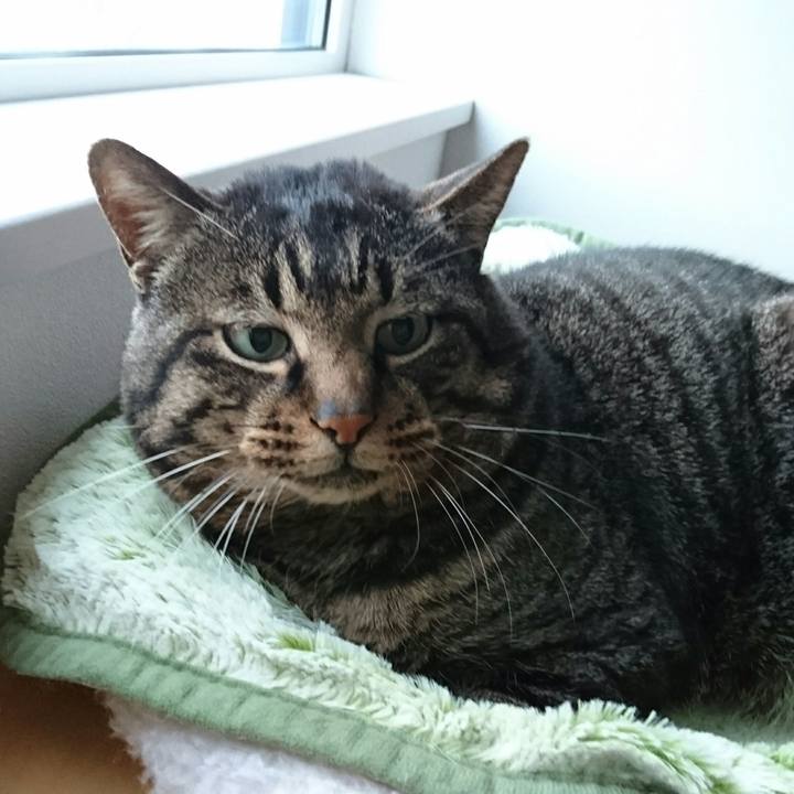 D99679a9 7dec 44e6 824b ba6f679ba6ff