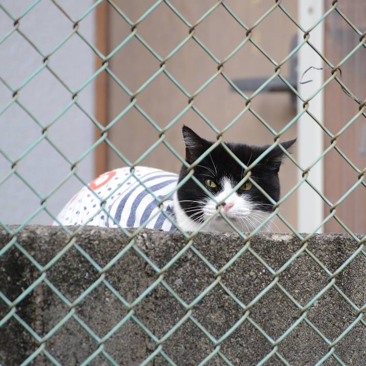 D997b1c1 2e3e 43b6 9290 942b425f8350