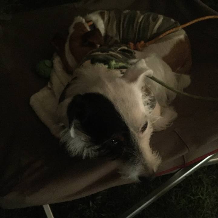 D9982bc6 7e39 40cb 8a8d 16e1645de940