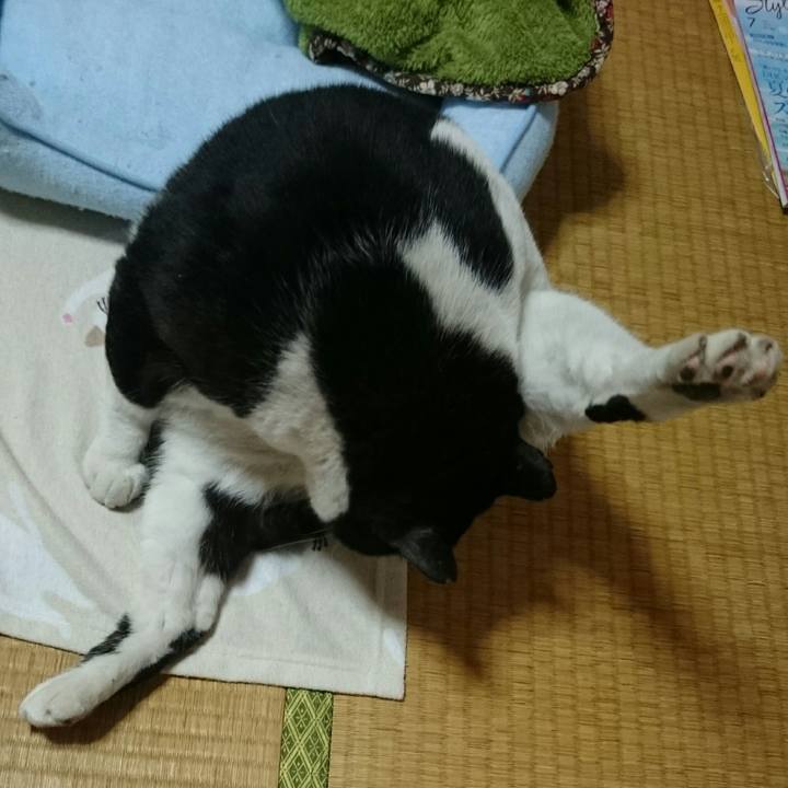 D9991cb6 2784 4812 8cce 14b479c5906a