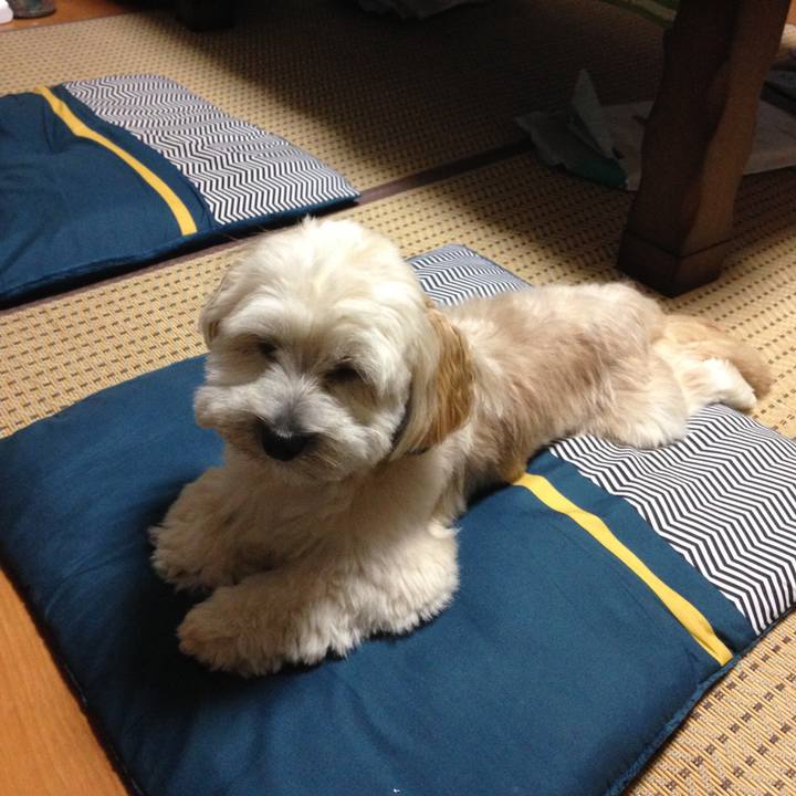 D999210f 9936 48ad 99c0 31a61ed4353c