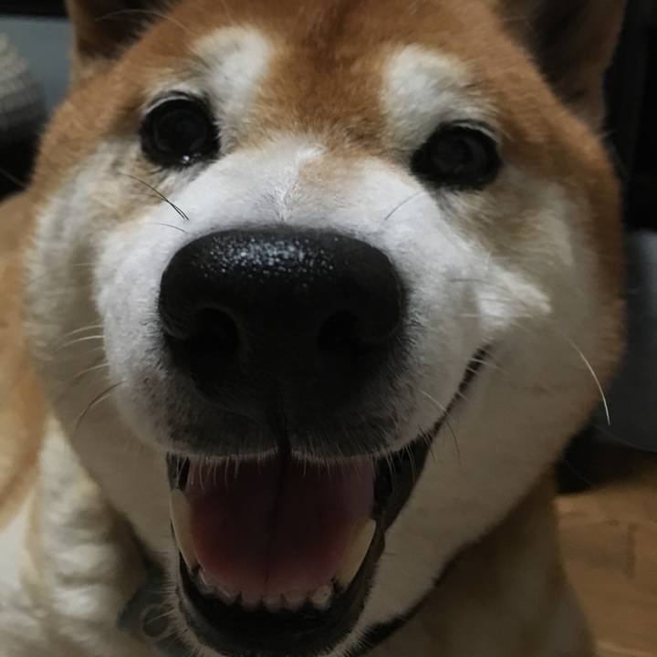 D9995e5a 41ae 4190 905f 3c74dfc9406d