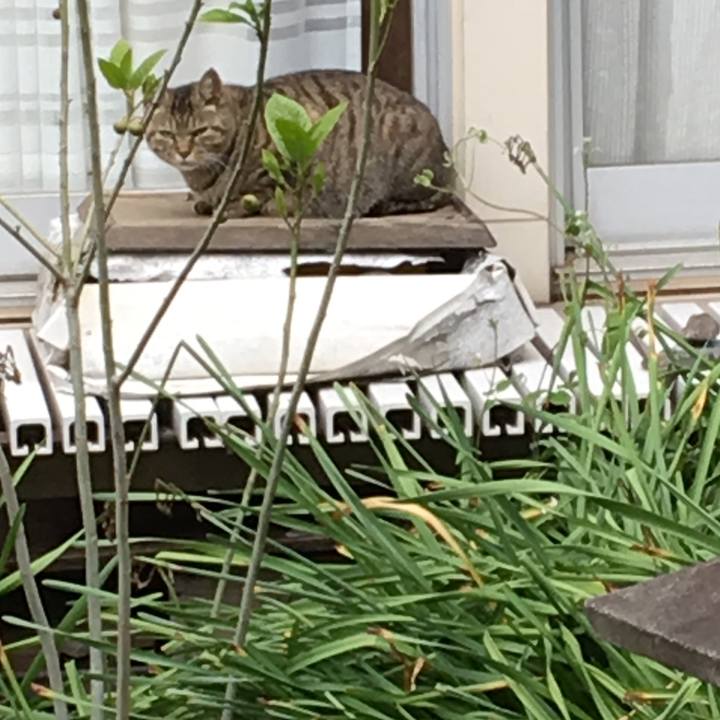 D9998a45 5e96 47b7 ac32 b6b0e101fa46