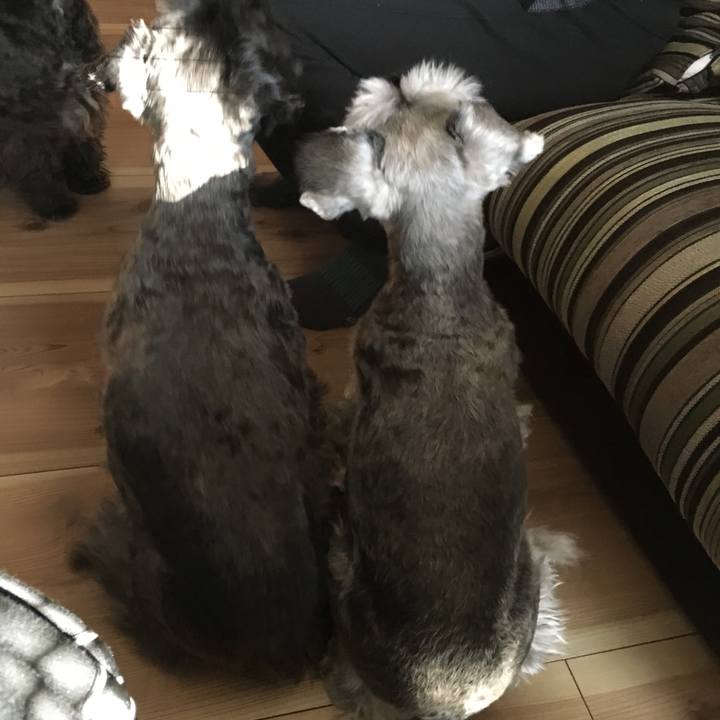 D99a07d9 b365 47d9 8533 5a8e4fcf7ce9