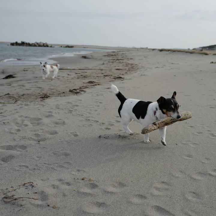 D99a0921 838e 42ce b9a5 77176edb8dff