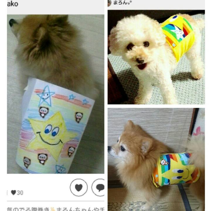 D99a41f4 598a 4f25 8833 c74248eb04f9