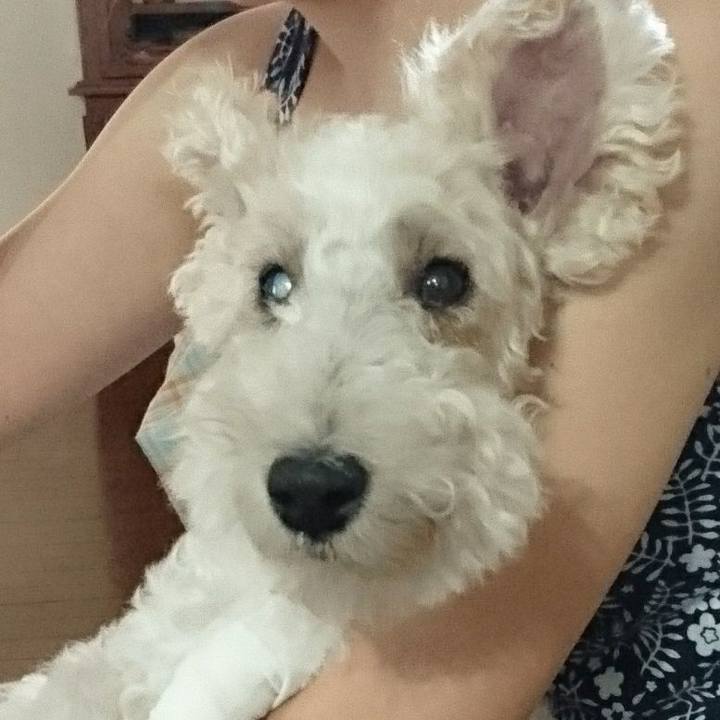 D99ac54d eb86 436c b3d5 da1946b7578d