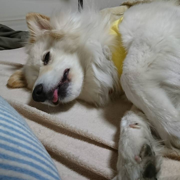 D99af1f3 4a26 47ab 8b98 3433d0927b54