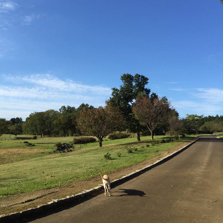 D99af47d a993 427a 876e dd3a8af7f66d