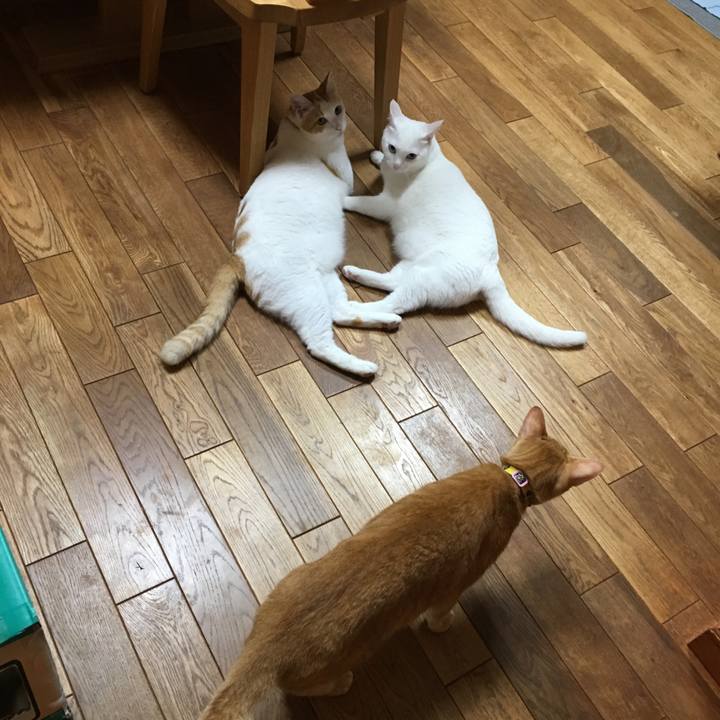 D99b149e 434b 40e9 ab41 94ef451eb9d3