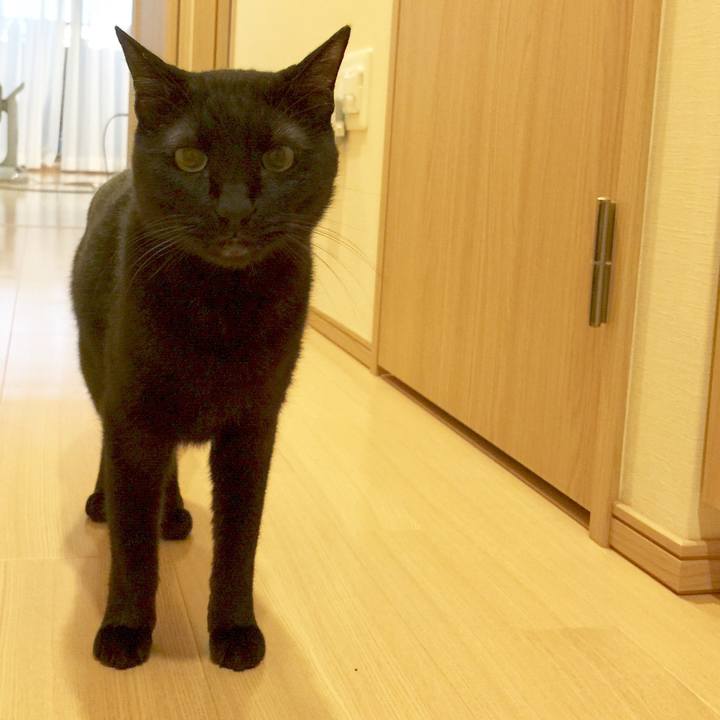 D99b4189 d44b 435a be75 9cafdeded20c