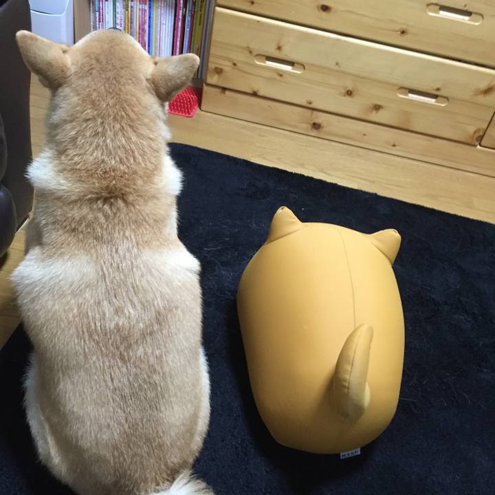 D99b744b 1092 4230 84f7 7ad810658afd