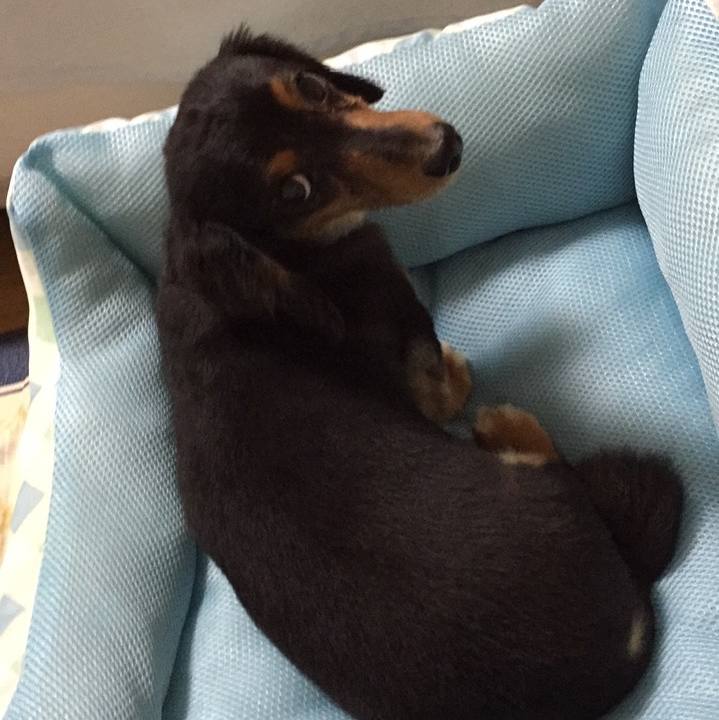 D99bae64 b62c 412f a0a2 9b6913cd1ebb