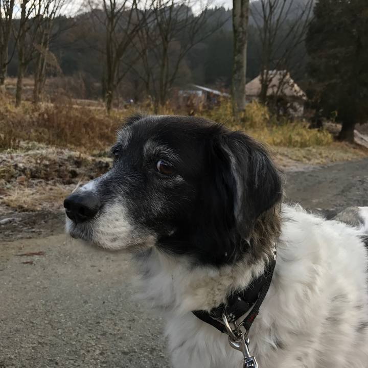 D99bf53d 93e4 427e 8409 26e7f2e41c75