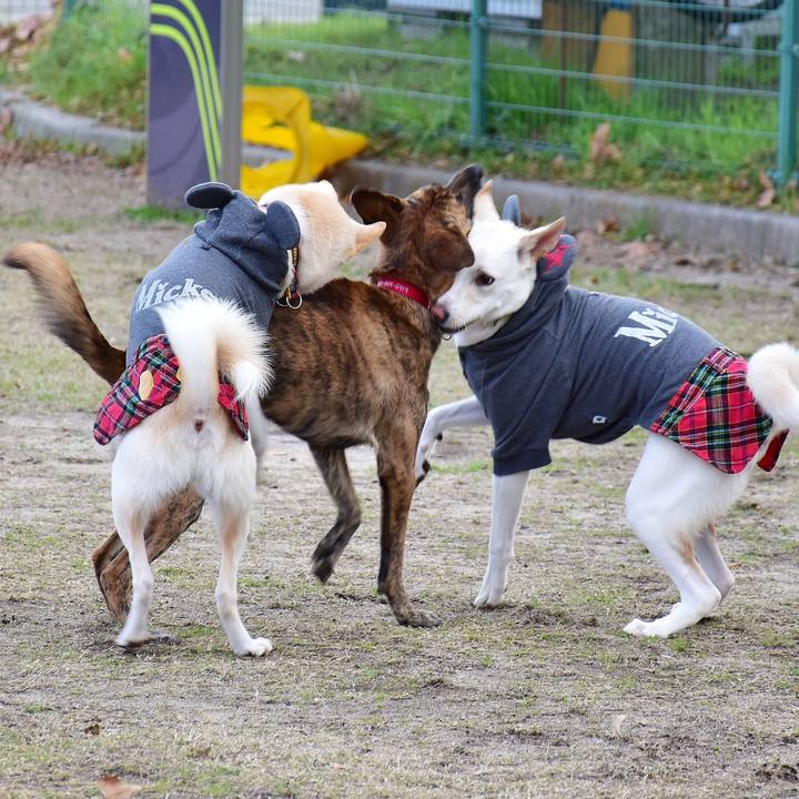 D99c9473 838b 4217 aa06 53dbfc7f8ad7