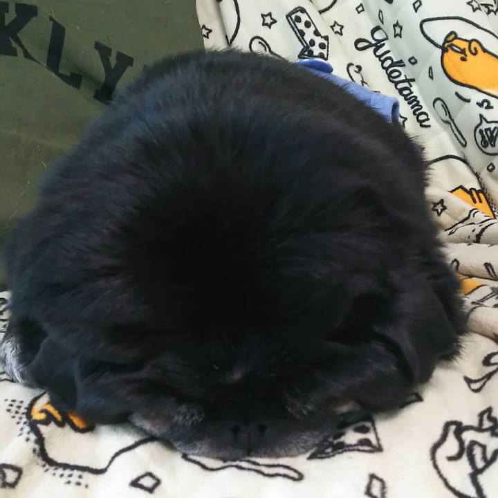 D99c948e 48e4 4d7c a9dc 1a3ac81fb46c