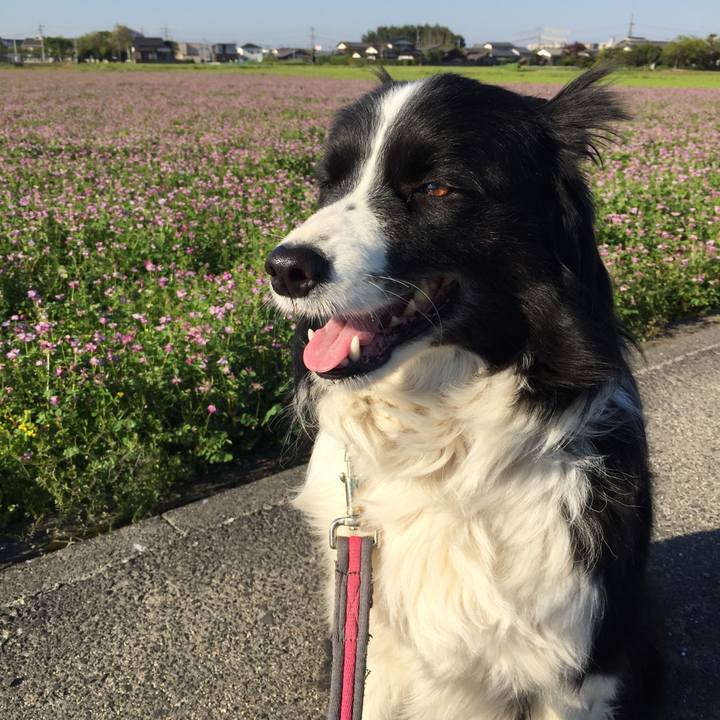 D99ceb93 01ec 4fef b0be bc5124a482b4