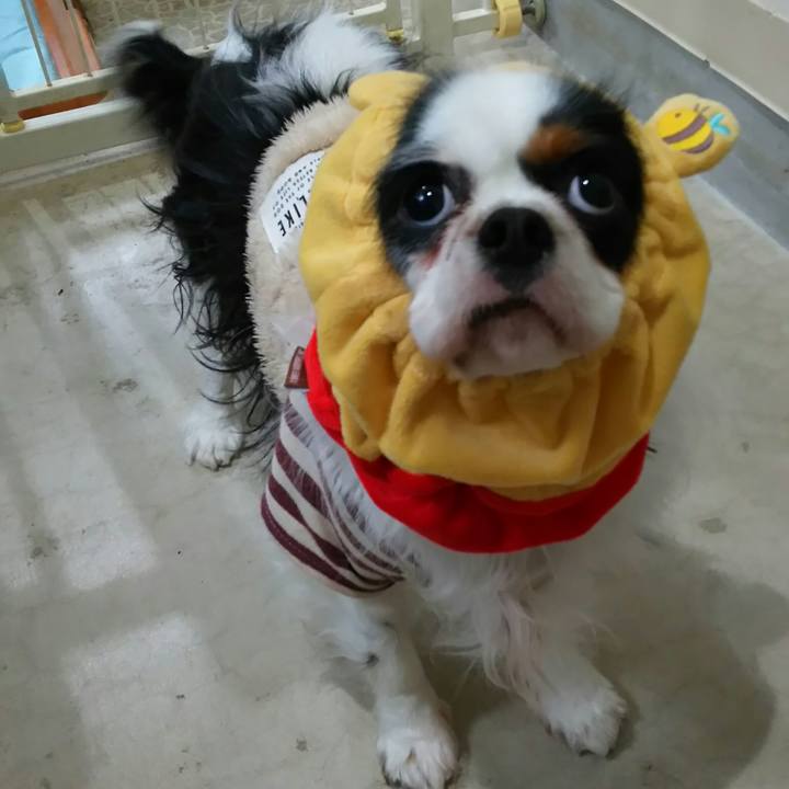 D99d66ae 6bc1 4766 b2f1 cd9b5fcc29de