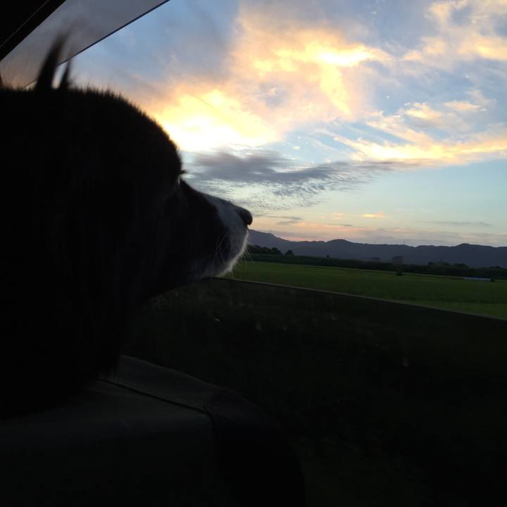 D99da739 f587 4002 ab0f be1f1ffb8372