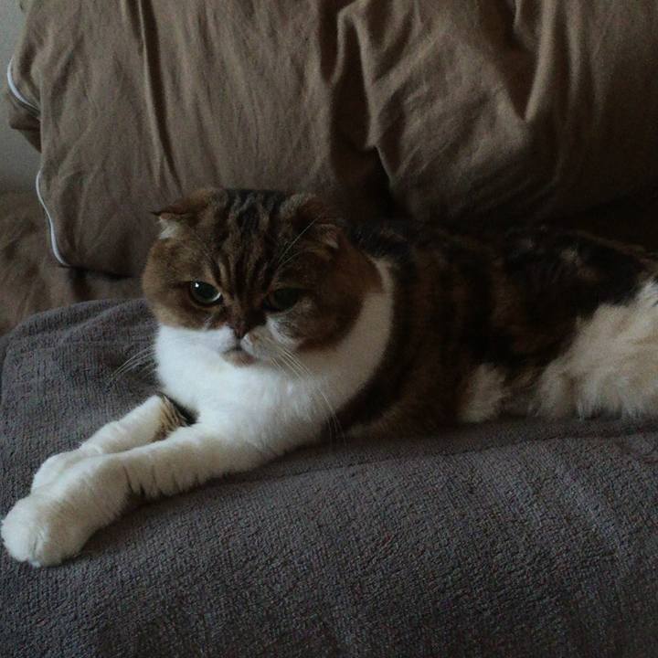 D99ecc90 fc90 4168 bef8 4f035d0b9afa