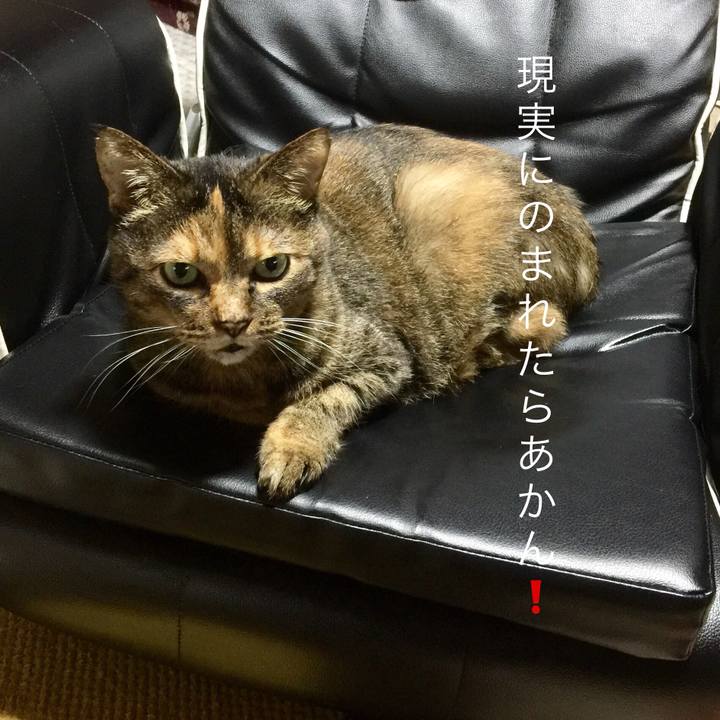 D99f0e64 b0bf 4c7a 939e 57deb6807cfd