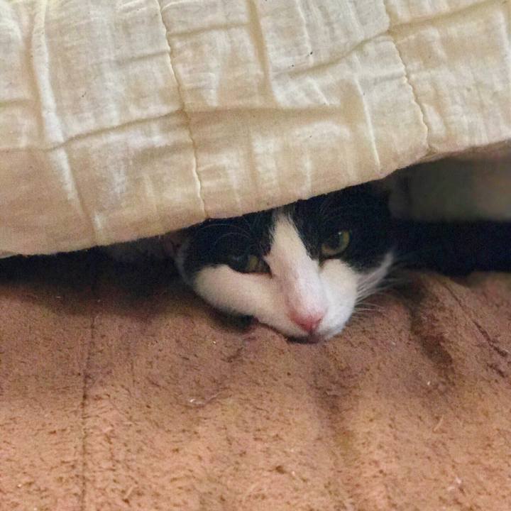 D99f6e82 bbd8 4f11 9c0b 6362b2f41c95