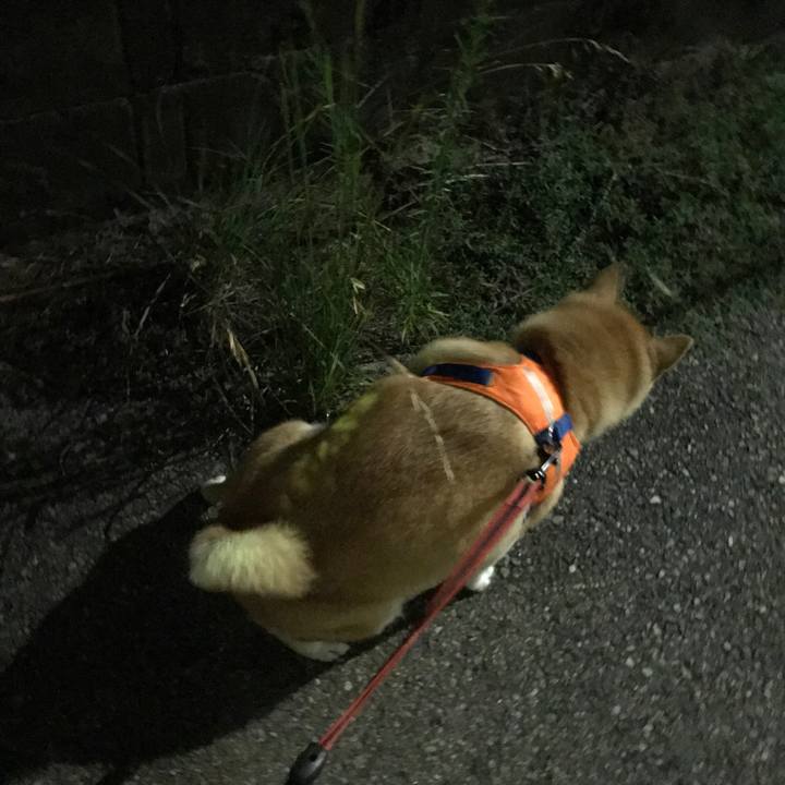 D99fcdb1 c72e 4f6e b1b5 f94448999620