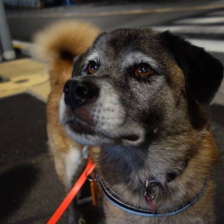 D9a12c06 f361 475c ba06 6a69fde07b50