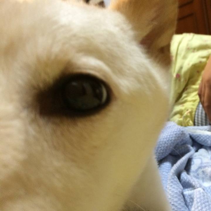 D9a162ce 82d1 4d05 95aa 13801281d5a5