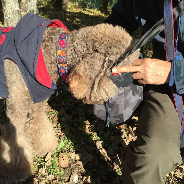 D9a18ee5 7a8a 4cc7 8039 20a7b3c53459