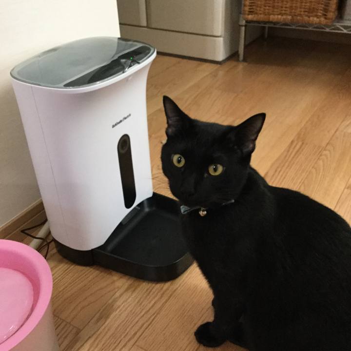 D9a24c3d 2477 4c22 9bf8 ec197900296e