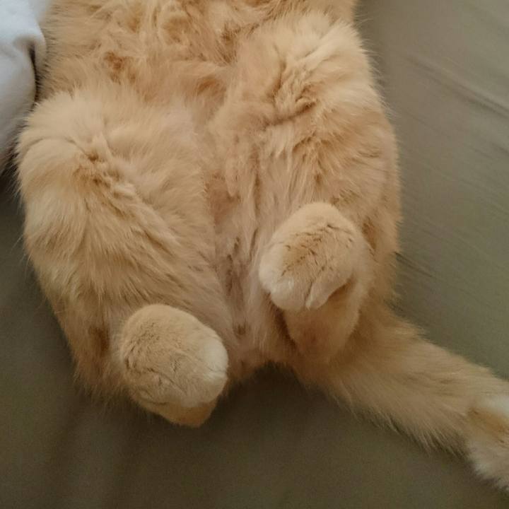 D9a26af7 a928 47d9 9ec4 37774cec1c0a