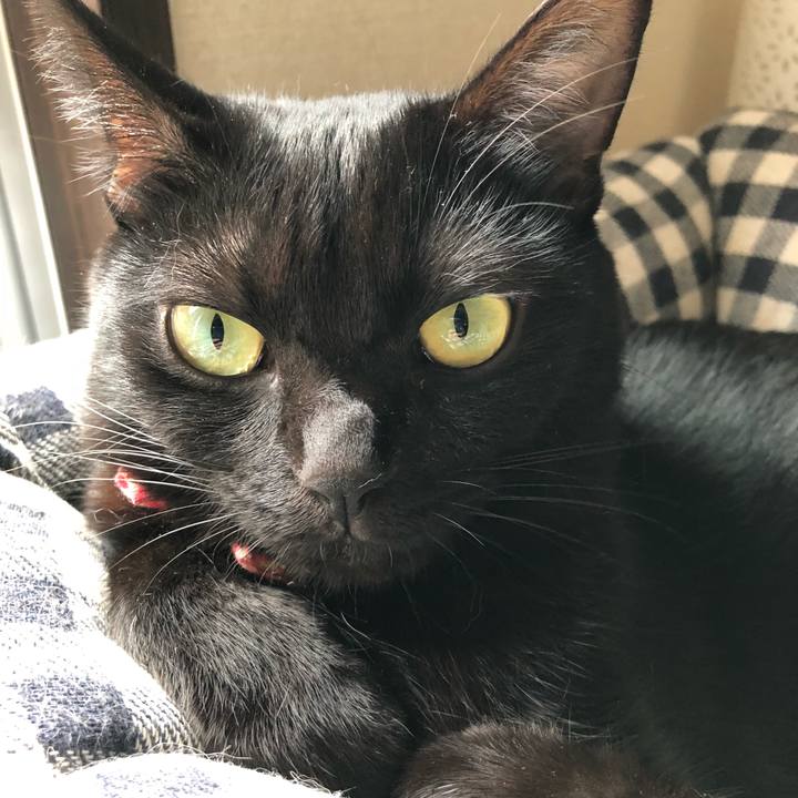 D9a31888 6226 4d28 a796 b38b943c8e57