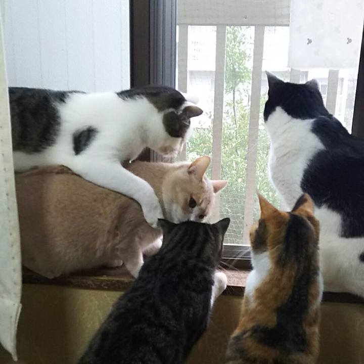 D9a3599e db34 4f0b 91a1 5393eaef773f