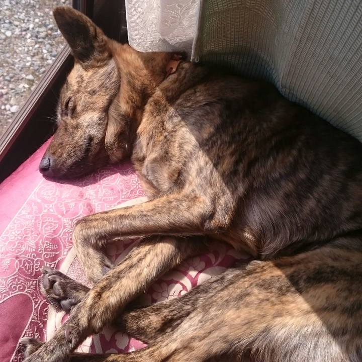 D9a3e7fb 47b9 411a 842f 4710fad8b48a