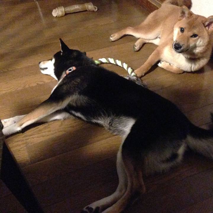 D9a4162f d9f7 45cf 9eda e99d99c334d5