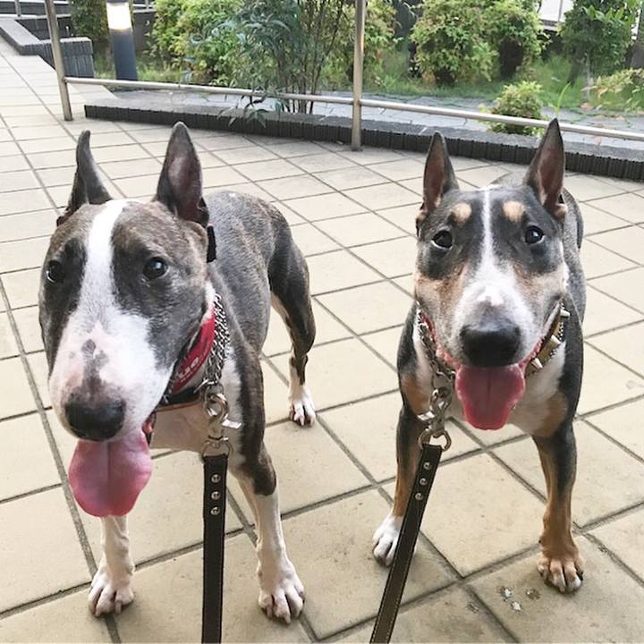 D9a470a4 5249 41d0 94f0 e60997c48f22