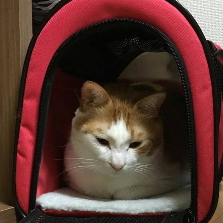 D9a4fdc8 7ef5 468b a31c 43f409dcac36