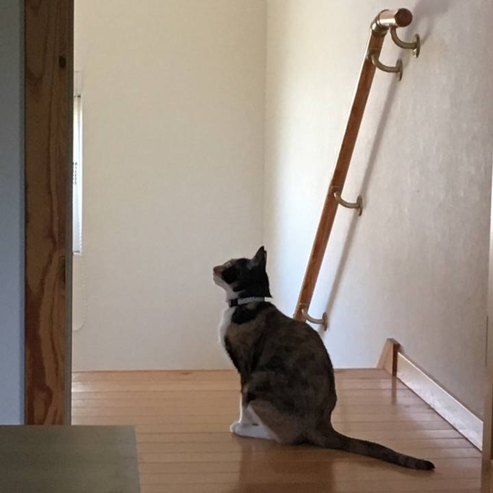 D9a598f4 d604 4889 ba8d fa8beec5479d