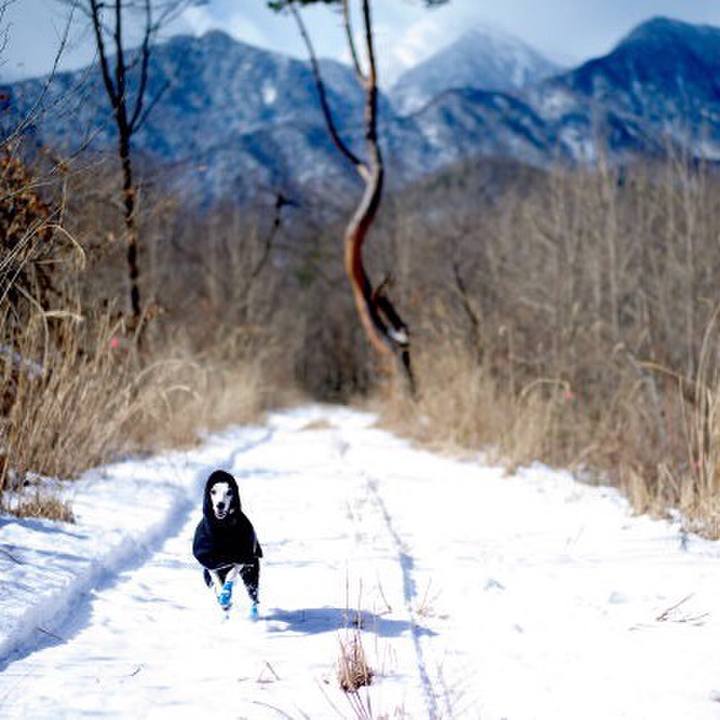 D9a59a89 0af4 4074 89df 63ebc7a95fdd