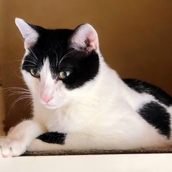 D9a59e26 c848 4dfa 861f 3a3a6f05233e