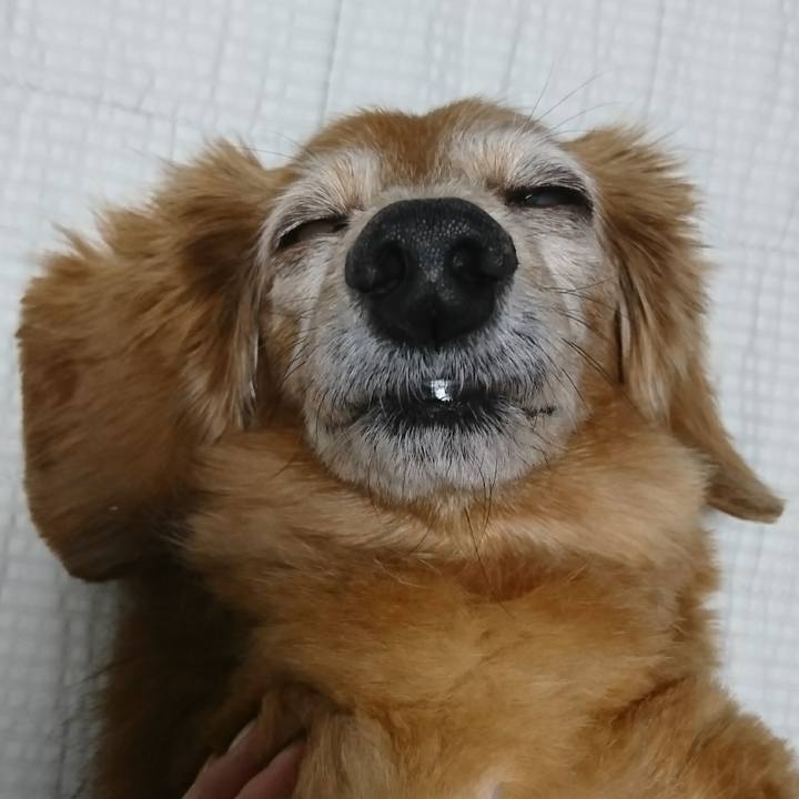 D9a5b4d4 b378 4b4b bd9b c9f859dfac83