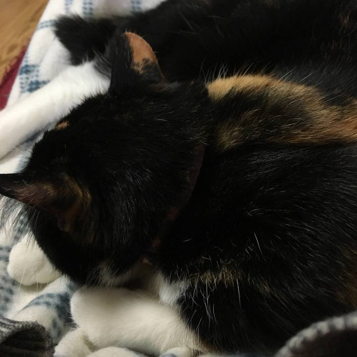 D9a619bf 04e0 408c a980 17ca7bb3adf3