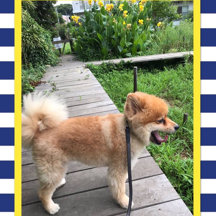 D9a6adee dbb4 4895 9d15 050d83336833