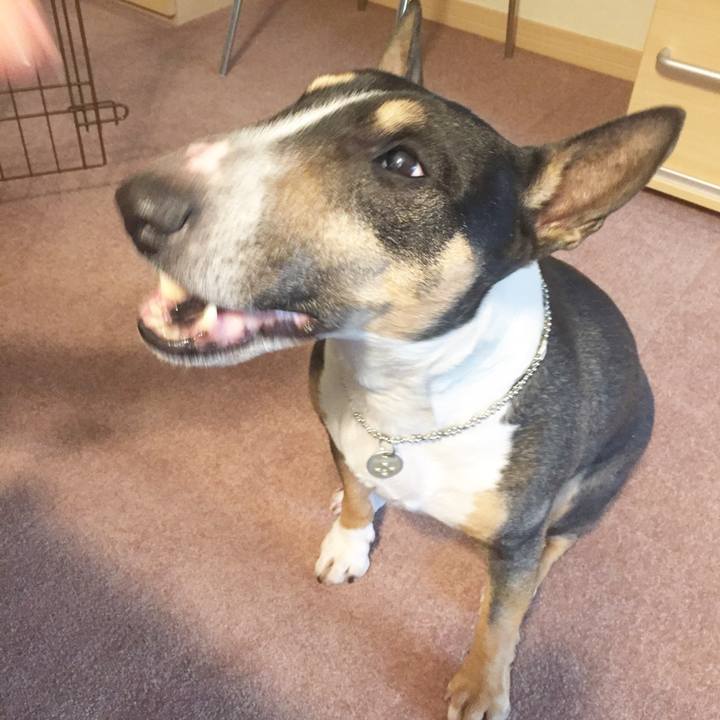 D9a70f80 e746 4231 94e5 0a99685c3d36