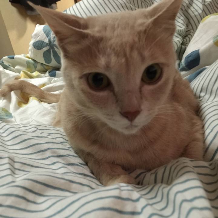 D9a833aa e10f 44bd 8d8d e2bcaa38991c